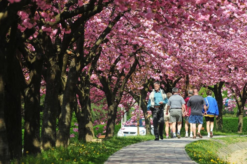 Hunguest Hotel Freya