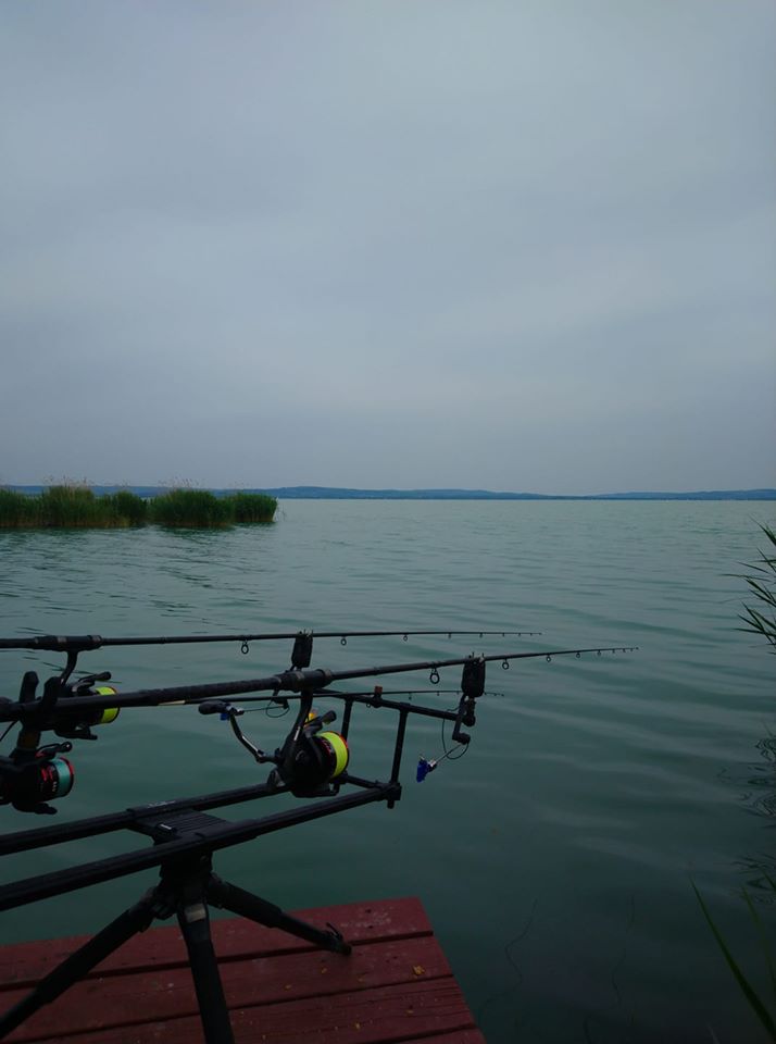 Zlatá rybka Balaton — Balatonudvari
