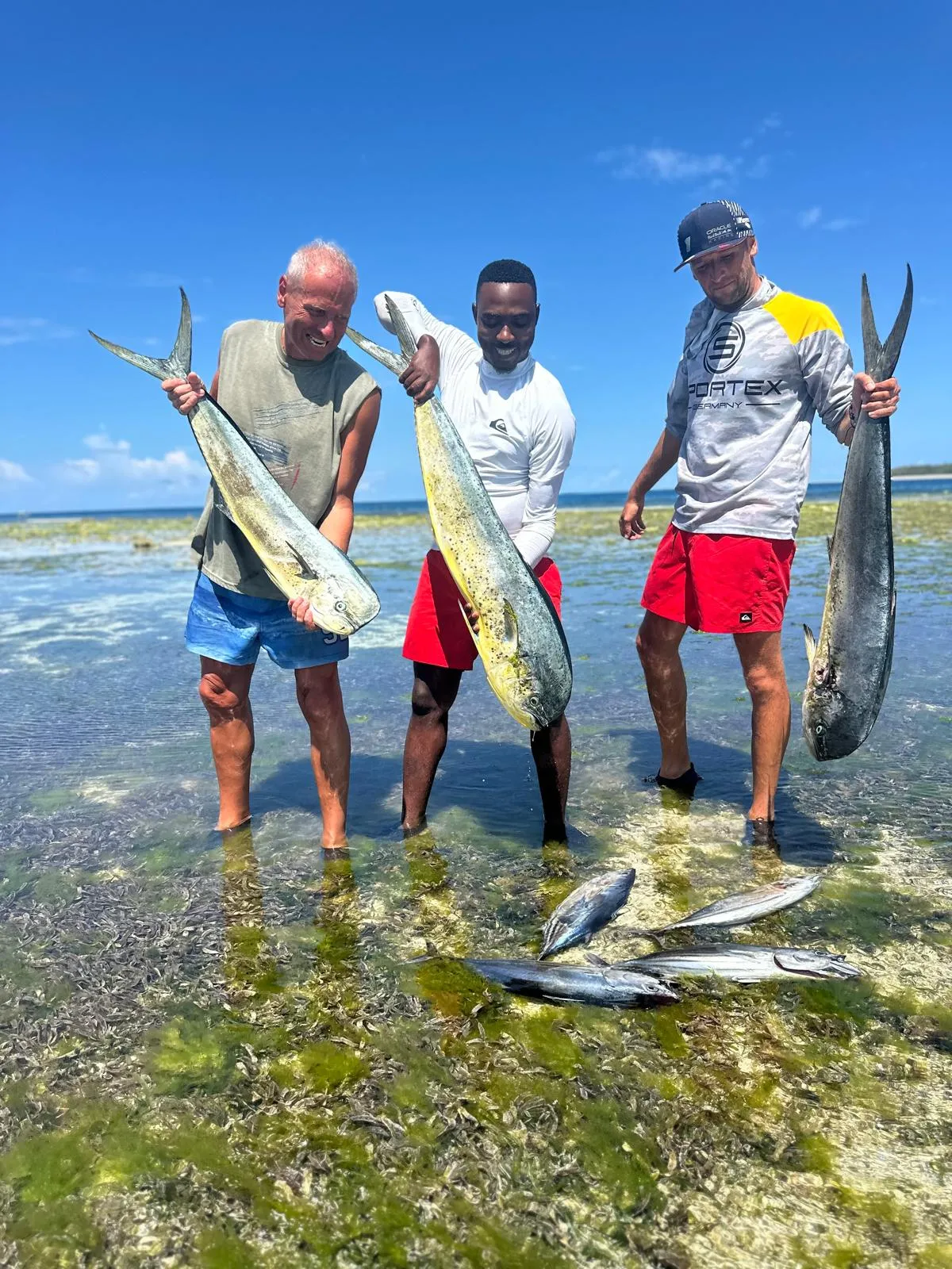 Úlovky dne — mahi-mahi a tuňáci