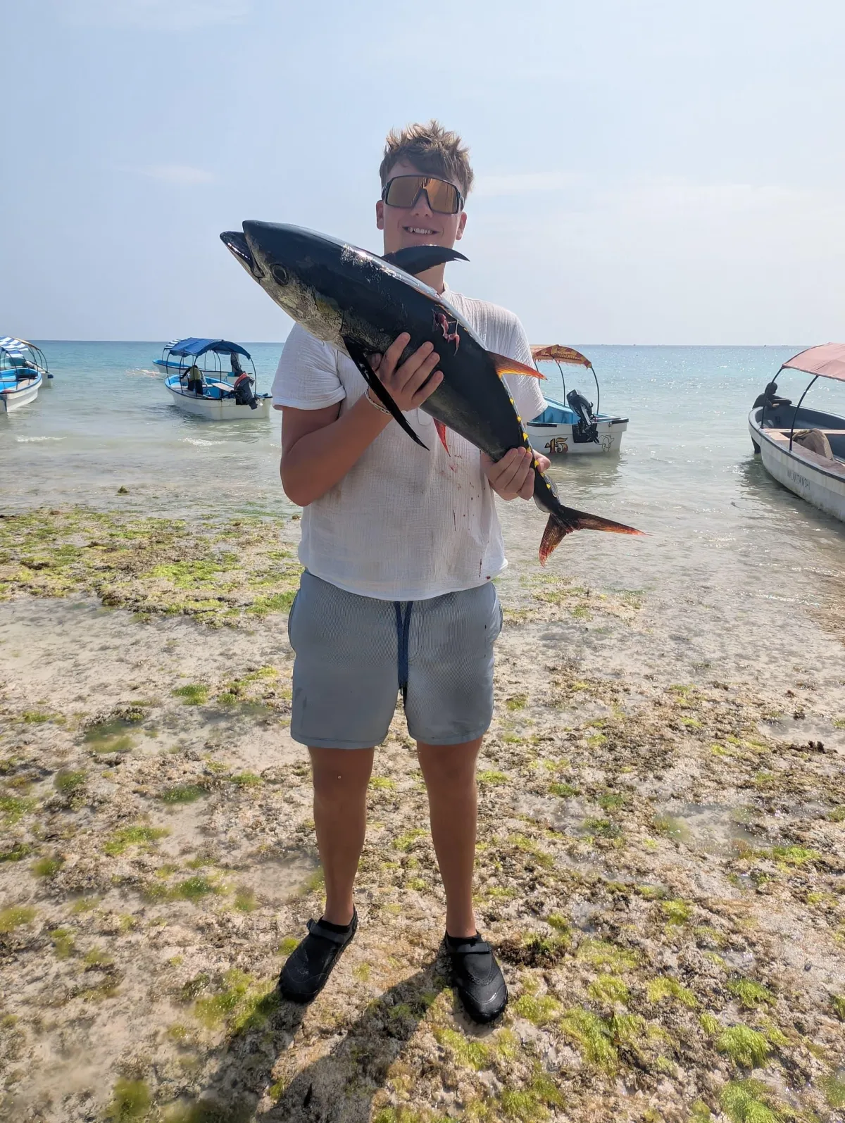 Tuňák žlutoploutvý